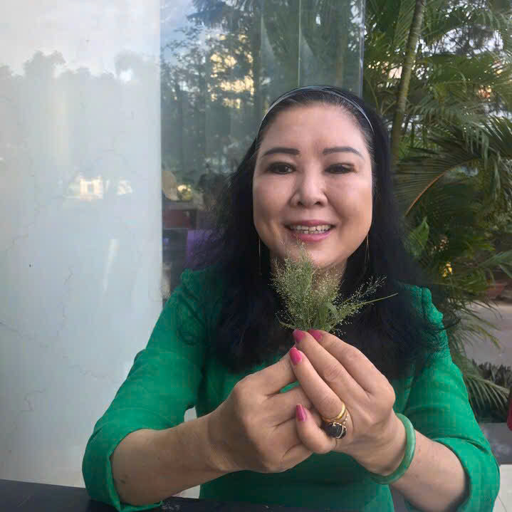 Hoang Hai - Ba Diem Hoc Mon 3.1ha Resi